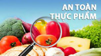 Sửa đổi, bổ sung và bãi bỏ một số văn bản quy phạm pháp luật về an toàn thực phẩm tại Thông tư 17/2023/TT-BYT?