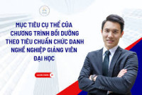 Chương trình bồi dưỡng theo tiêu chuẩn chức danh nghề nghiệp giảng viên đại học gồm mấy chuyên đề?