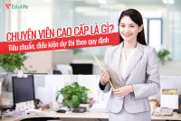 Công chức ngành công thương là chuyên viên cao cấp về quản lý năng lượng phải đáp ứng yêu cầu về thành tích công tác như thế nào?