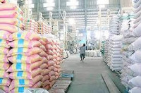 Tải Mẫu Báo cáo công tác quản lý chất lượng hàng dự trữ quốc gia theo quy định mới nhất hiện nay?