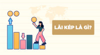 Lãi kép là gì? Quy định về lãi kép trong hoạt động cho vay được hướng dẫn thực hiện như thế nào?