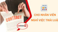 Người lao động bị cho nghỉ việc trái pháp luật nếu được nhận lại làm việc thì phải hoàn trả những khoản tiền nào?