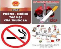 Quỹ phòng chống tác hại của thuốc lá được hình thành từ những nguồn nào? Quỹ được sử dụng để chi cho các hoạt động gì?