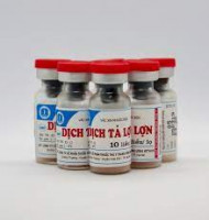 Vacxin dịch tả lợn nhược độc dạng đông khô phải đáp ứng yêu cầu kỹ thuật như thế nào theo quy định hiện nay?